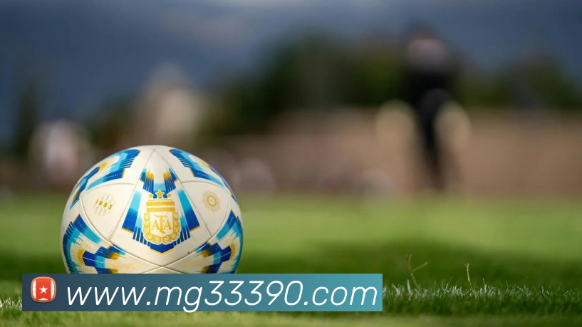 MG娱乐平台官网发展历程